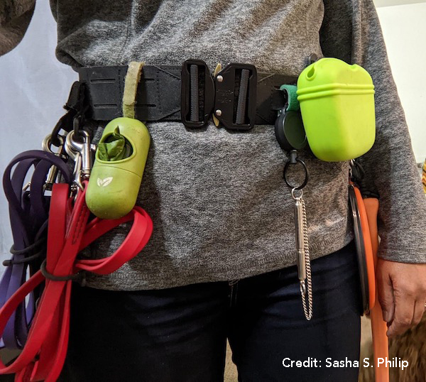 Dog Training Supplies A Dog Trainer's Kit Preventive Vet